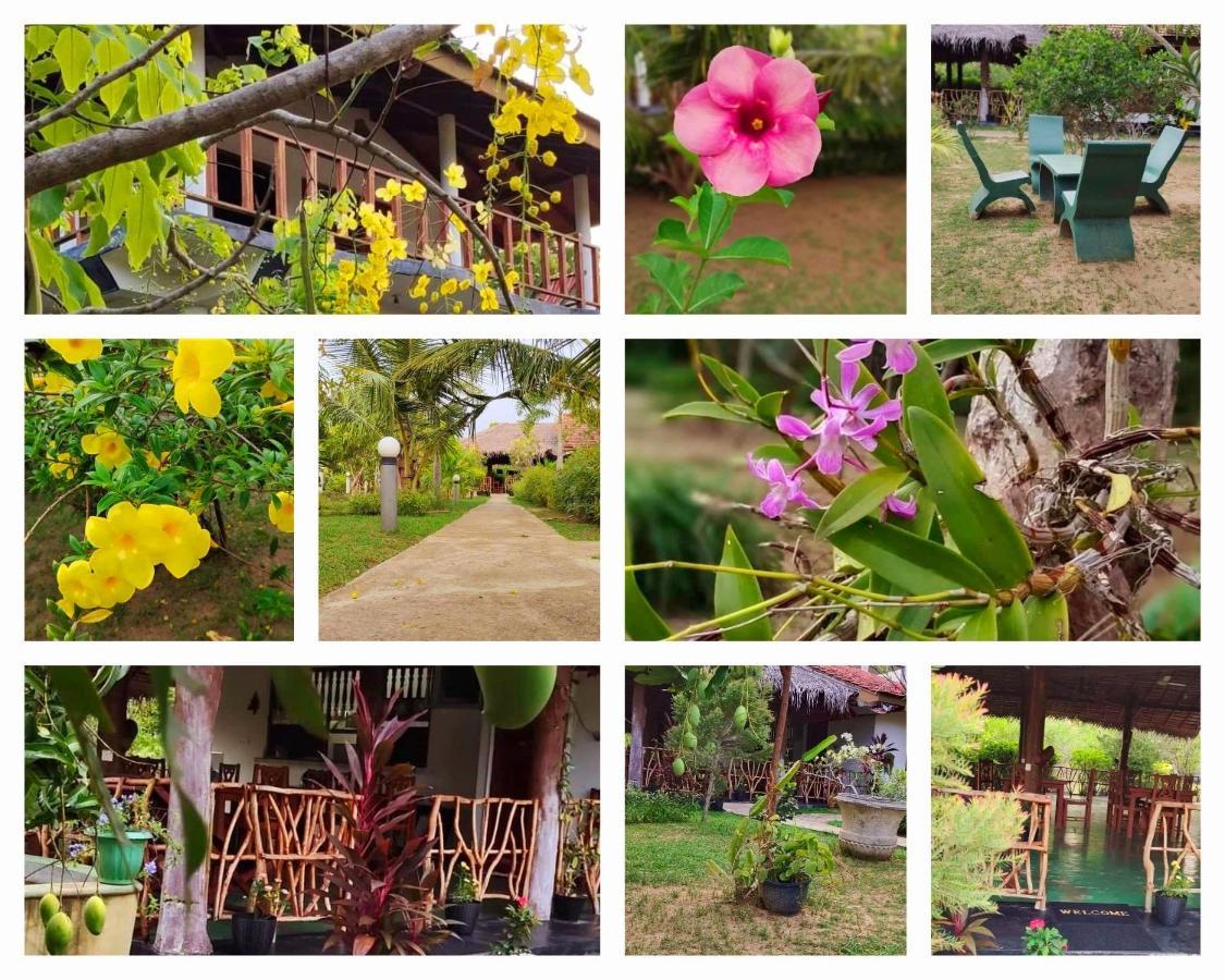 Pearl Cave Cabanas & Resturant Tangalle Kültér fotó